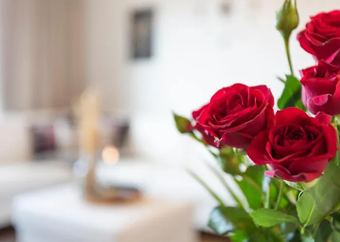 Vasko Luxurious Suites, Hiisi