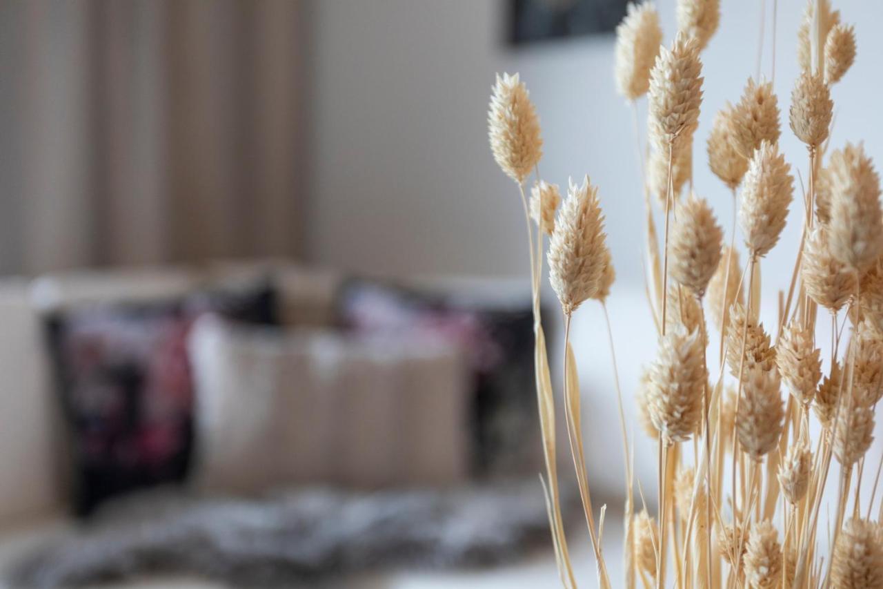 Apartment Vasko Luxurious Suites, Hiisi